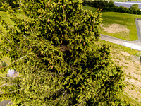 P2610262